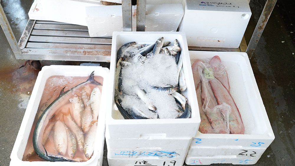 ご要望に合わせた、細やかな仕入れ対応