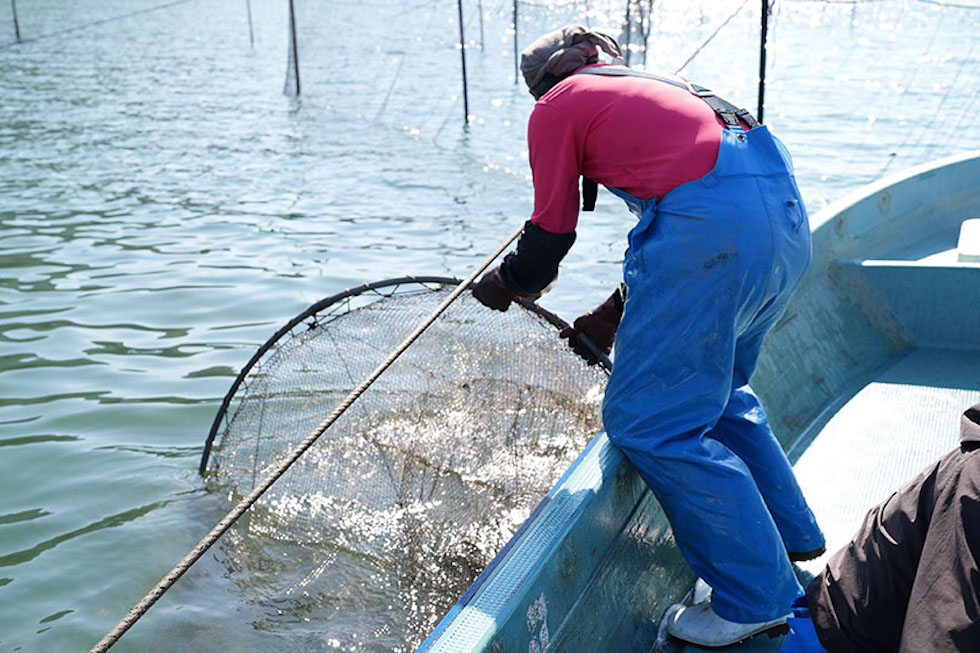 感嘆！漁業体験