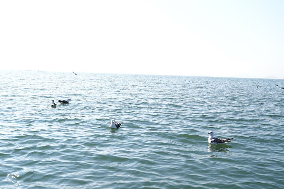 学舎 オーシャンスピリッツ【計画中】