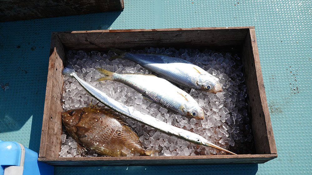 四季折々の海の幸