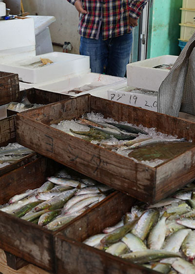 仕入れ担当者の方へ