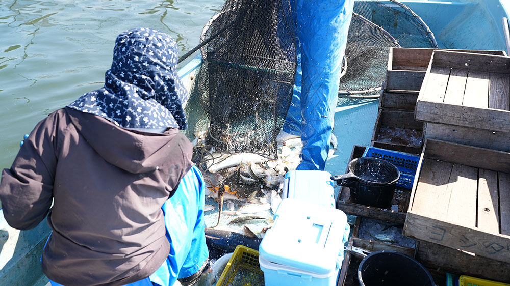 その日の魚を、その日のうちに。鮮度が自慢の鮮魚