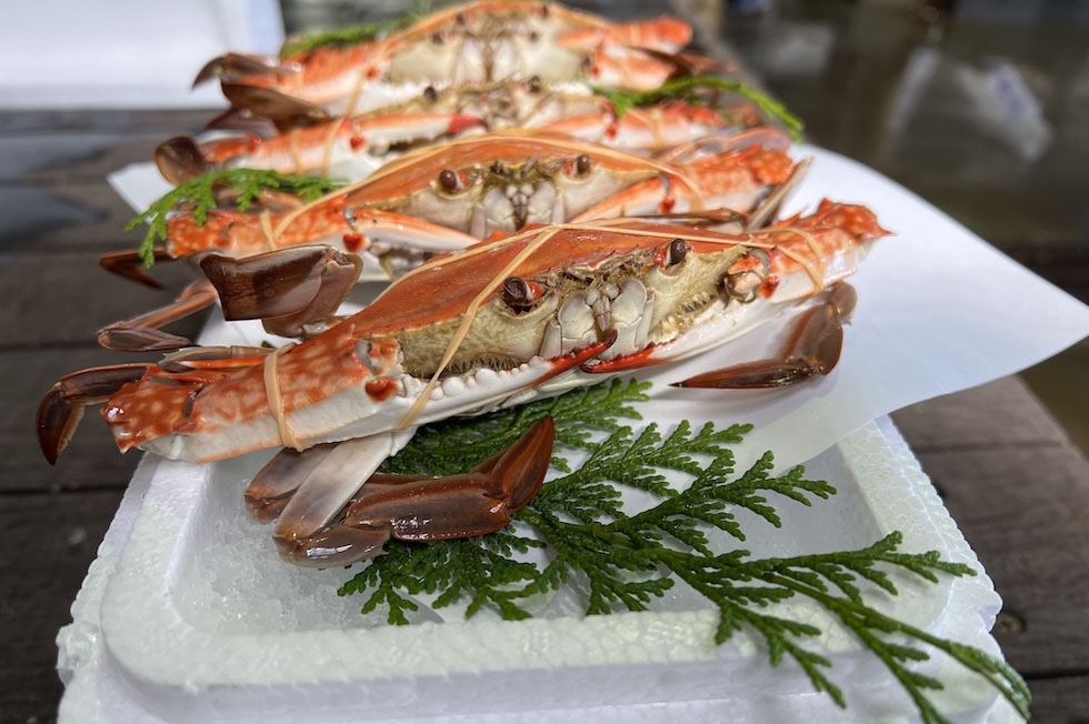 浜茹でワタリカニ